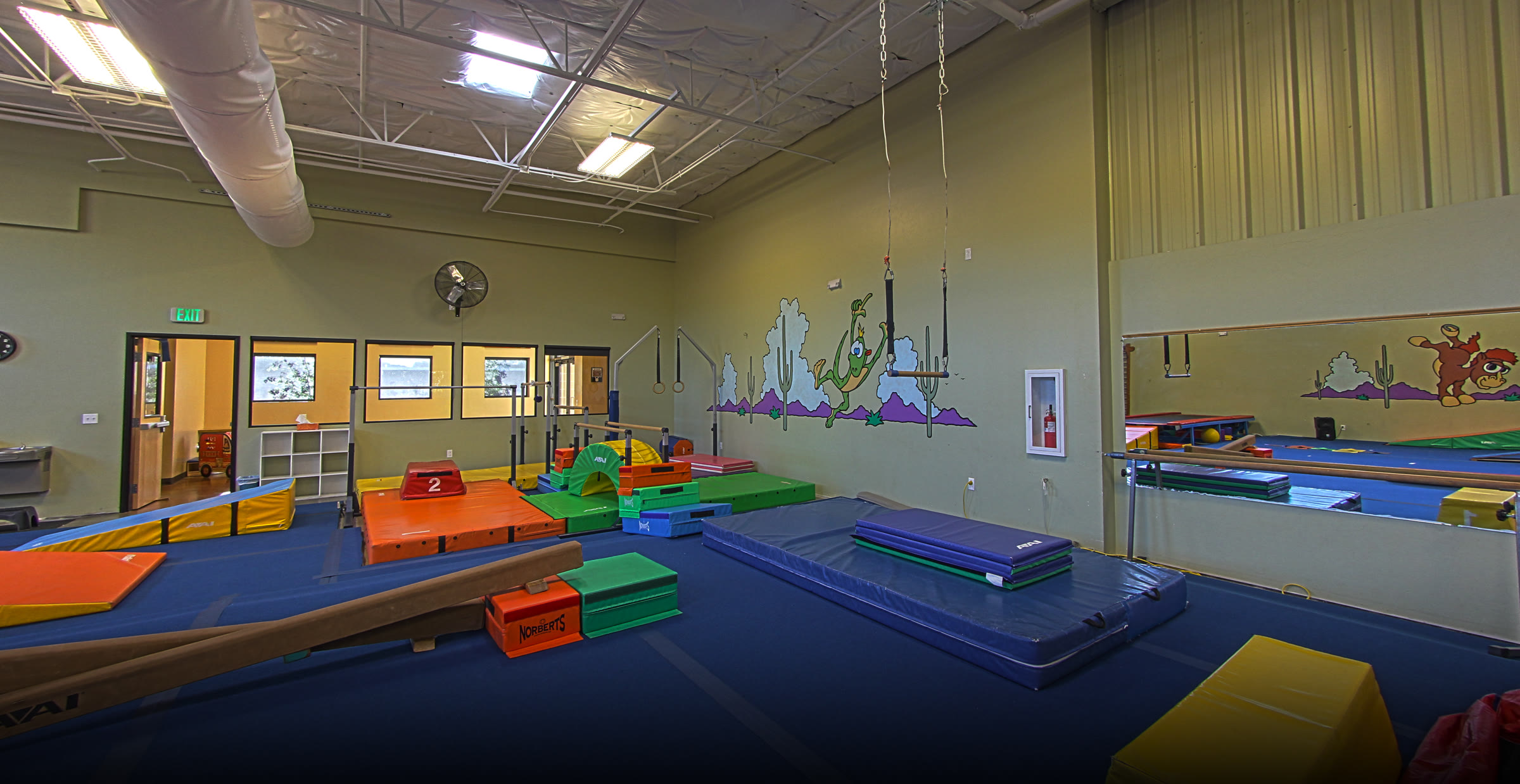 Old Pueblo Gymnastics Academy facility photo 17