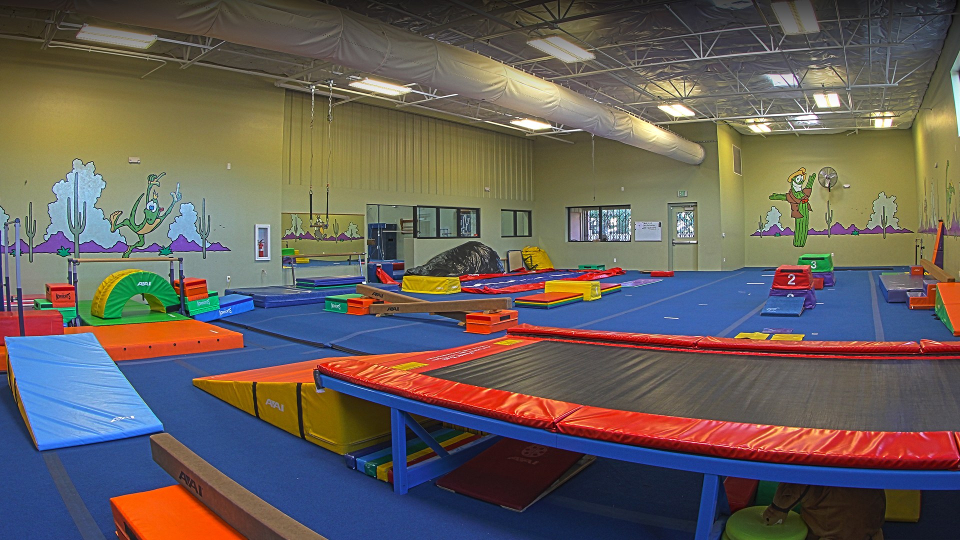 FitnAZtics adaptive gymnastics facility at Old Pueblo Gymnastics Academy