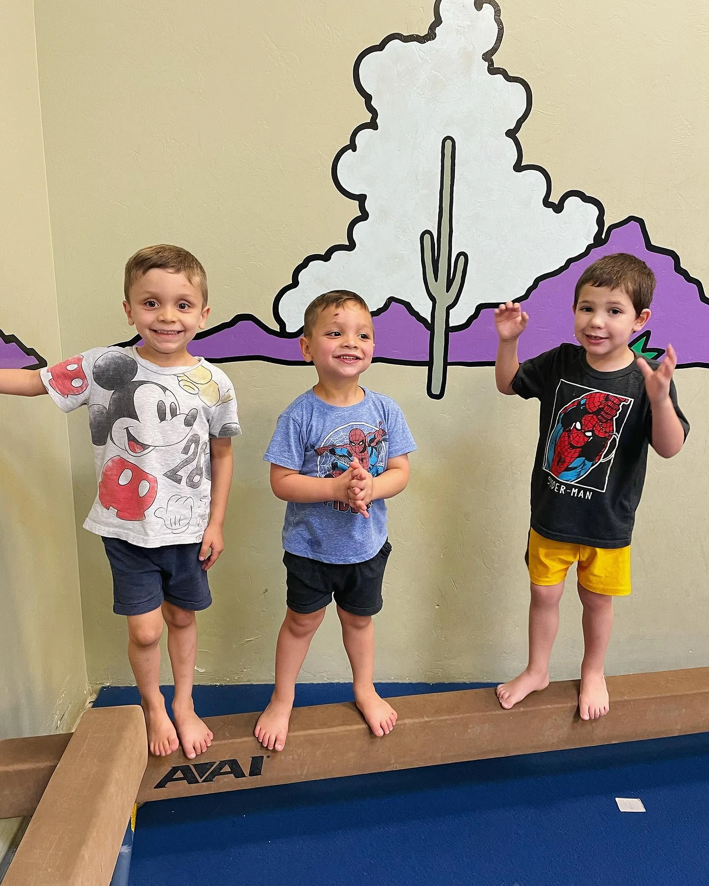 Boys Gymnastics