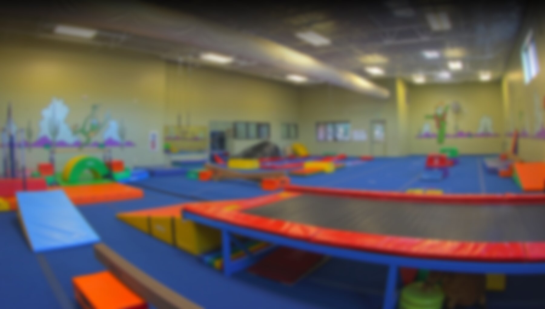 Inside the Old Pueblo Gymnastics Academy facility in Tucson
