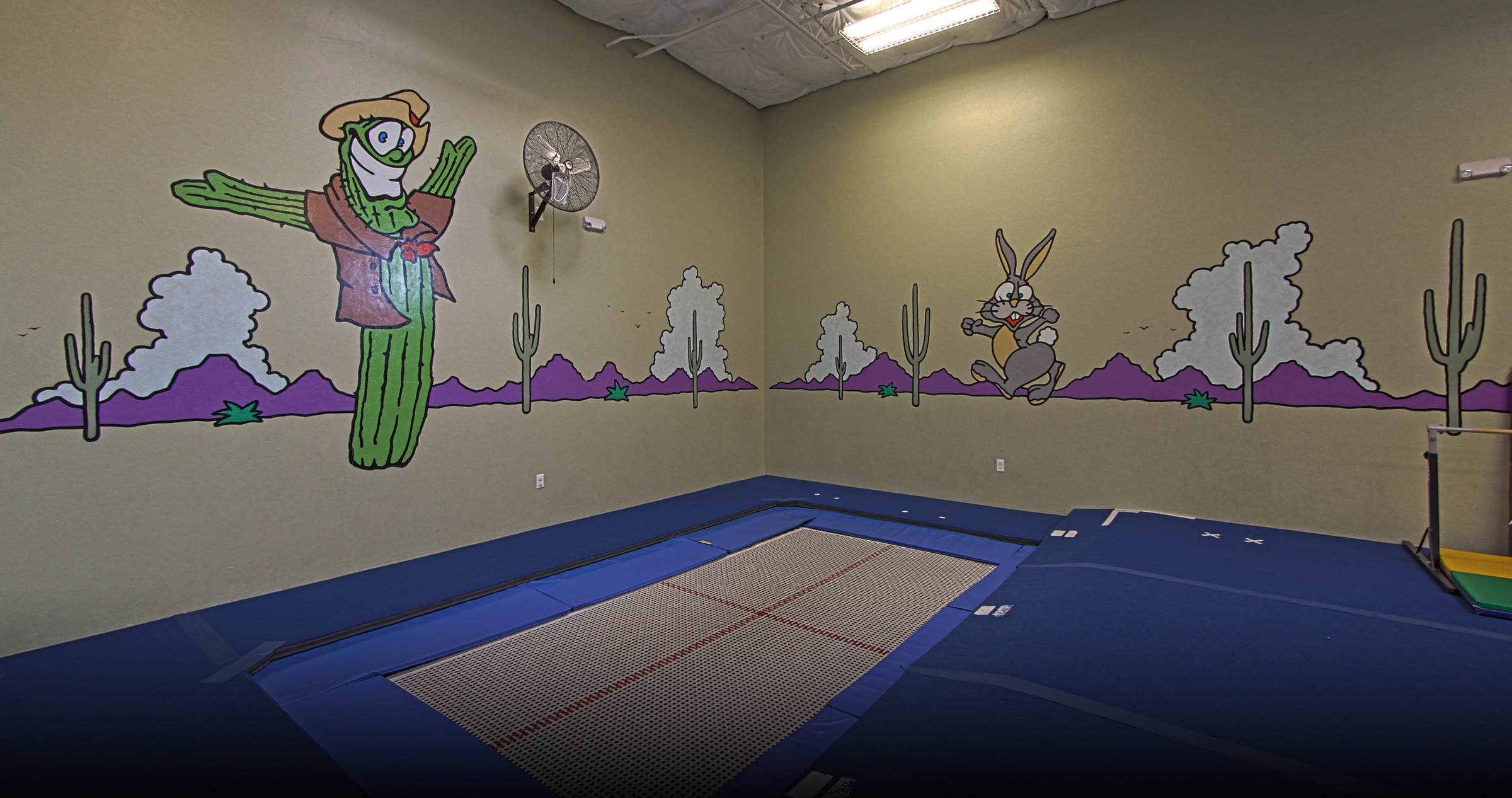 Old Pueblo Gymnastics Academy facility photo 18