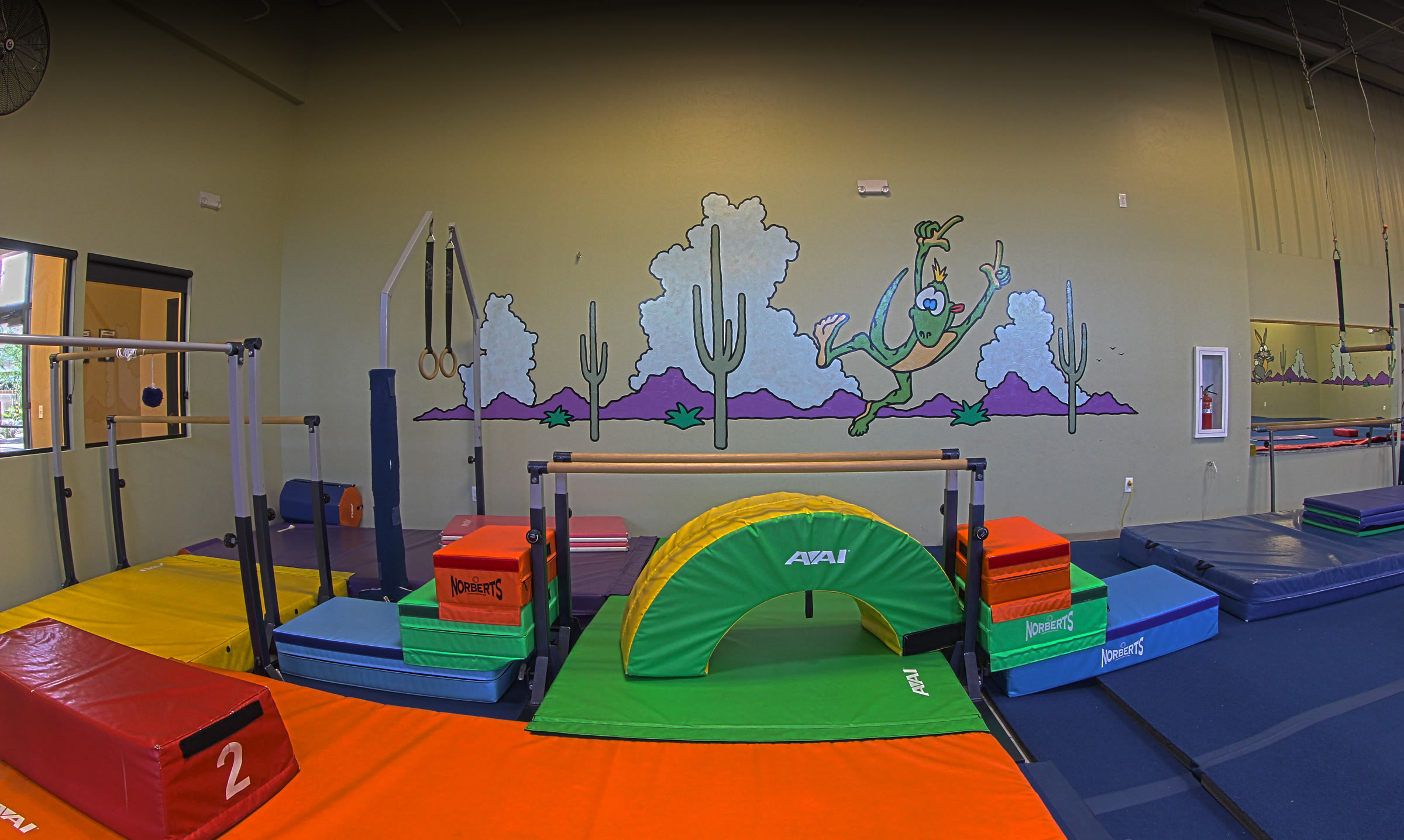 Old Pueblo Gymnastics Academy facility photo 11
